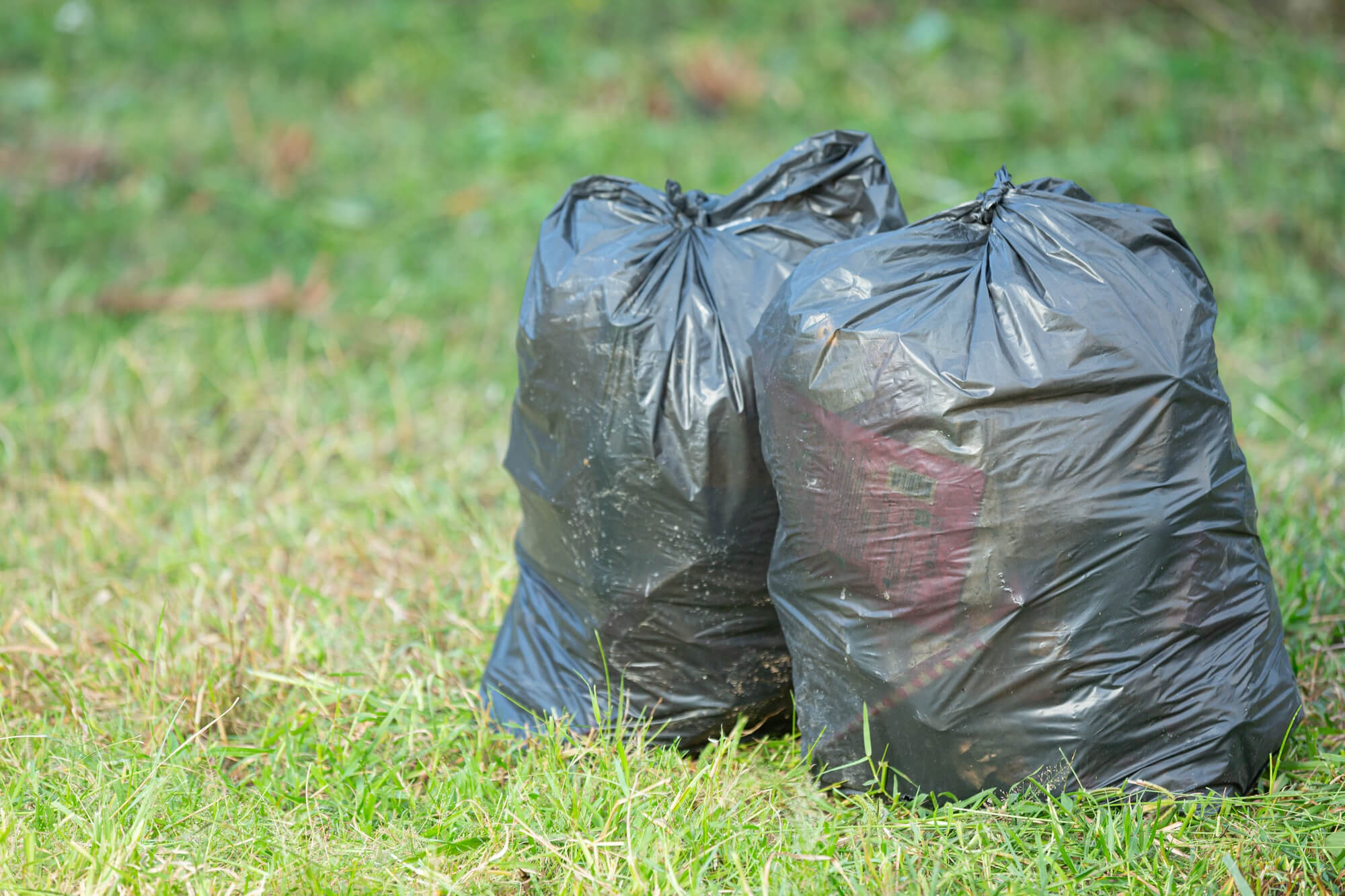 Green Waste Removal — We take it all away when we're done.